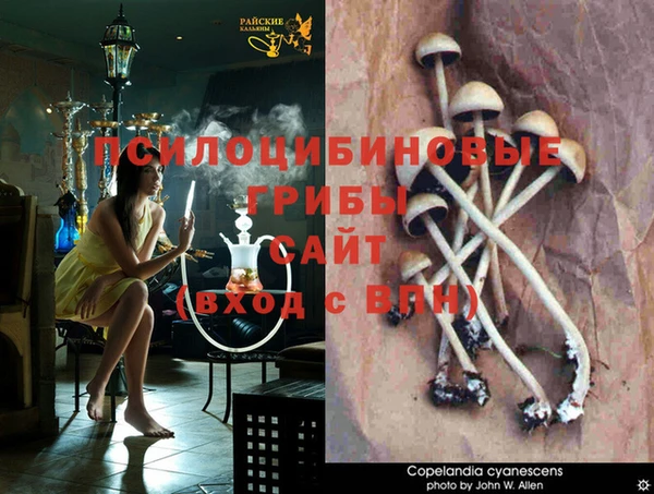 jwh Балахна