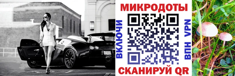купить закладку  Североуральск  Псилоцибиновые грибы GOLDEN TEACHER 